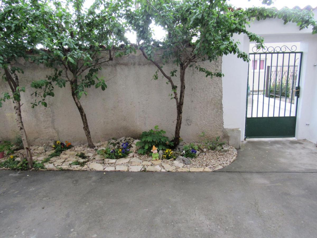 Villa Novo Zadar Exterior foto