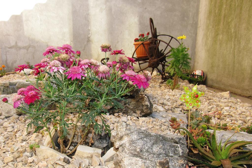 Villa Novo Zadar Exterior foto